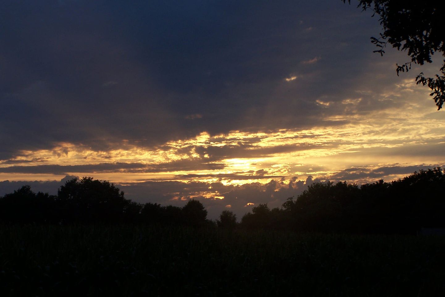lucht-loslaten vriendschap.jpg
